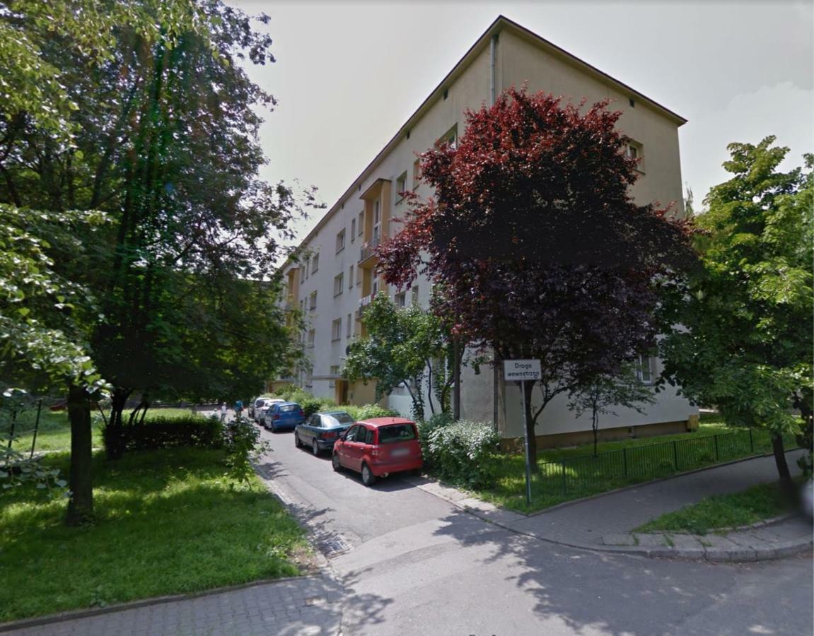 Turkusowy - Krakow, Kazimierz * Krakau